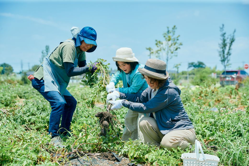 【前編】触れて食べて！ 野菜がもっと好きになる「ヤサイな仲間たちファーム」に行ってきました